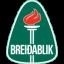 Брейдаблик - Истанбул Башакшехир