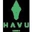 HAVU - EYEBALLERS