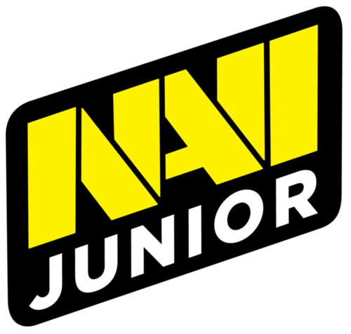 NaVi Junior - Fnatic Rising