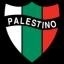 Палестино - Универсидад де Чили