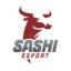 Sashi Academy - Astralis Talent