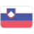 Словения - Россия