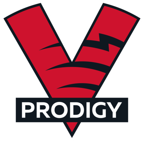 VP.Prodigy - FURIA Academy